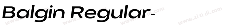 Balgin Regular字体转换